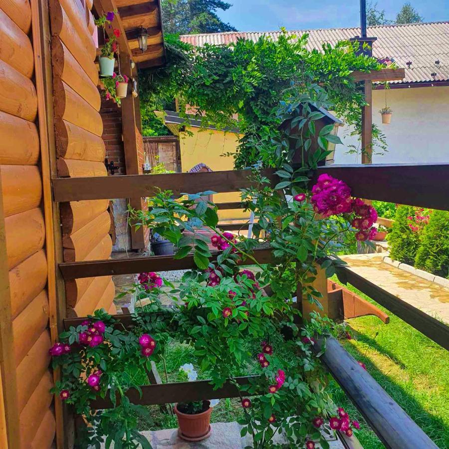 Apartment Little Paradise Вісоко Екстер'єр фото