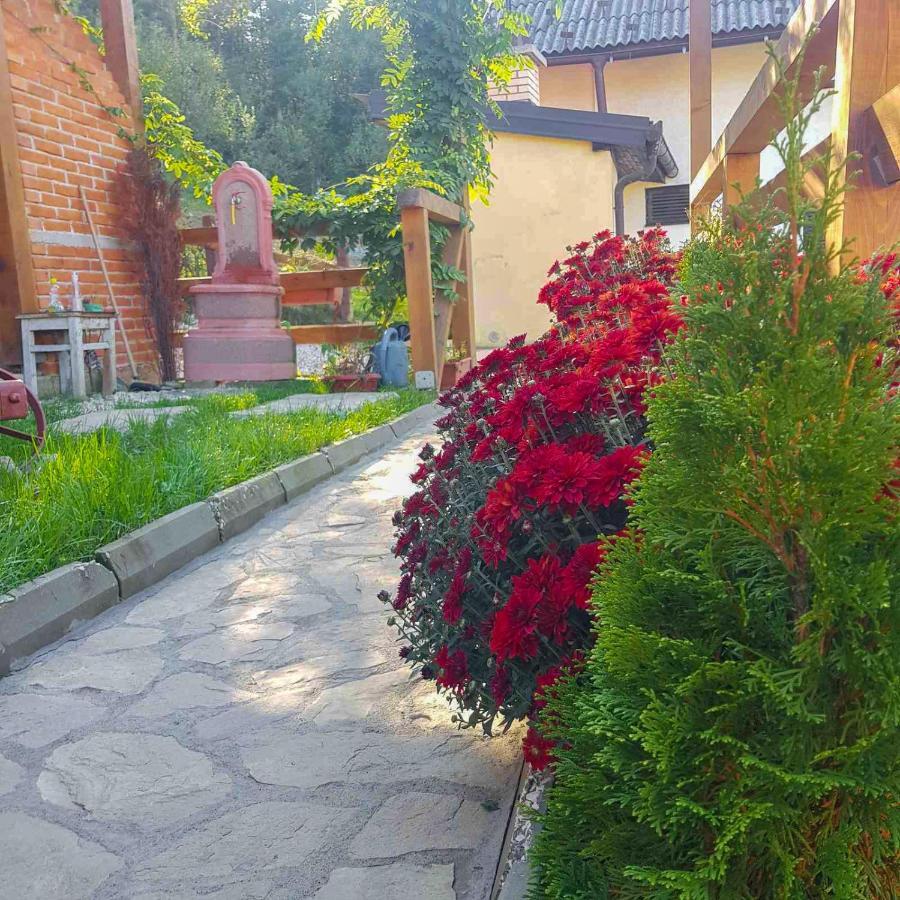 Apartment Little Paradise Вісоко Екстер'єр фото